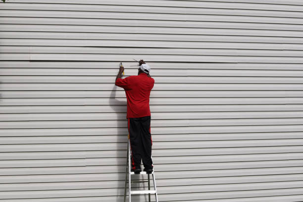 Best Aluminum Siding Installation  in West Yellowstone, MT